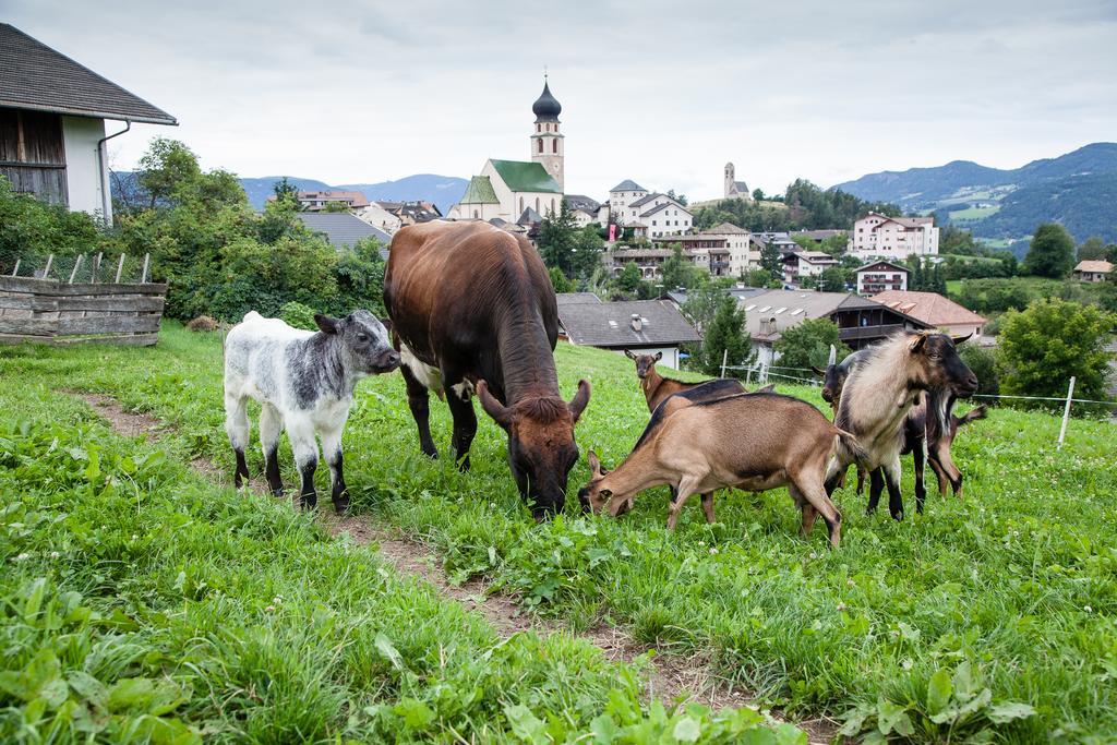 Merlhof Völs am Schlern Exterior foto
